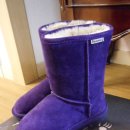 에그플란트(eggplant) 이미지