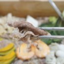 창원늘푸른샤브&편백찜&월남쌈&소고기무한리필마산 이미지