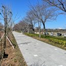 시민복지타운광장 이미지