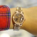 에버로즈 이미지