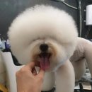어쩌다뷰티살롱 이미지