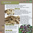 지리산한방식품 이미지