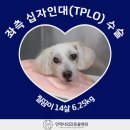 배방동물병원 이미지