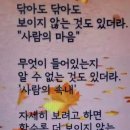 미담 이미지