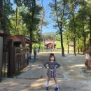 헌인릉 | 국가정보원 초등학생 견학후기 헌인릉 맛보기