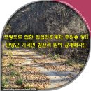 향산유원지 이미지