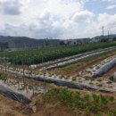 쉼터하우스 이미지