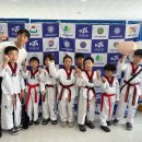 스탈릿 백호 태권도장 이미지