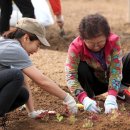 성동농장 이미지