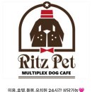 리츠펫 이시아폴리스점 | 대구 대구광역시 리츠펫 애견유치원 이시아폴리스, 주차, 리뷰, 후기