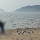 팀미음 | [영종도] 미음 : 영종도 오션뷰 대형 카페 | 영종도 디저트 맛집 추천 | 내돈내산 주말 방문 후기