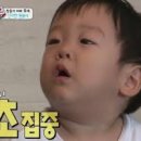 이끼이끼 이미지