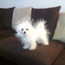 세븐일레븐 포항오천점 | 희