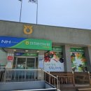 인천농업협동조합 자월지점 이미지