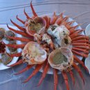 장사항홍게사랑 이미지