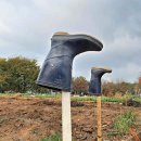 김재명농장 이미지