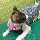 짱구와 동팔이 이미지