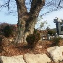 새터 대평농장 이미지