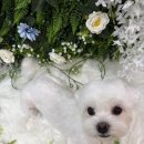 개릿뷰티 이미지