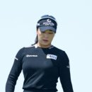 다우피드 이미지