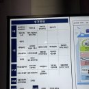 (주)바디프랜드 수원광교 | [수원/광교/데이트코스] 고양이 천국! 광교 고양이카페 MIYAO(미야오) 후기