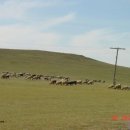 고달할머니 이미지