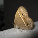 GS25세명사거리 이미지