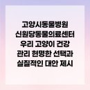 고양시동물병원 신원당동물의료센터 우리 고양이 건강 관리 현명한 선택과 실질적인 대안 제시