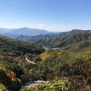 태일농장 이미지