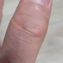 초록비타민 | 뉴질랜드 초록 홍합 17500 비타민D