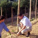 부흥 농장2 이미지