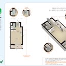 천년나무7 A 이미지