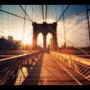 Building the Brooklyn Bridge: An Illustrated History 이미지