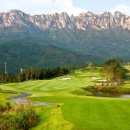 소노펠리체 컨트리클럽 델피노 이미지