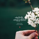 사랑으로 이미지