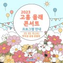 봄 설레임 콘서트 이미지