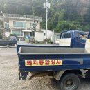 렛츠고강화캠핑 | [인천시 강화군] 뜻밖의 할로윈🎃 2박 캠핑 (렛츠고강화캠핑장) 내돈내산 후기
