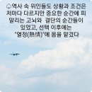 세상을 보는 가장 아름다운 눈 이미지