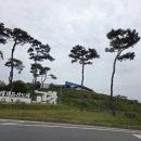 고창주유소 | 고창읍성 고창 가볼만한 곳 고창읍성 철쭉 명소