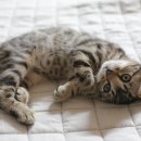 우리가족헤어 이미지