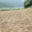 인건농장 이미지