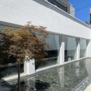 웰빈 | 울산카페추천ㅣ울산 삼산동 브런치카페 대형카페 웰빈카페 내돈내산 후기