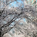 후곡공원 이미지