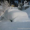 금강농원 이미지