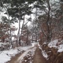 요곡 Daum카페