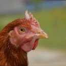 효행복요양원 이미지