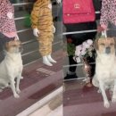 도도상점