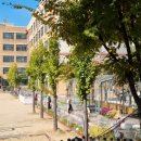 상지초교 이미지