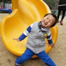 꿈나무몬테소리 어린이집 이미지