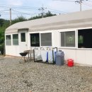 바다와푸른솔 이미지